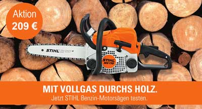 STIHL Motorsäge MS 170